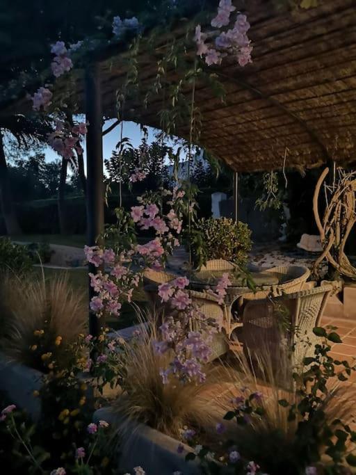 Villa Casita De La Higuera à Jávea Extérieur photo