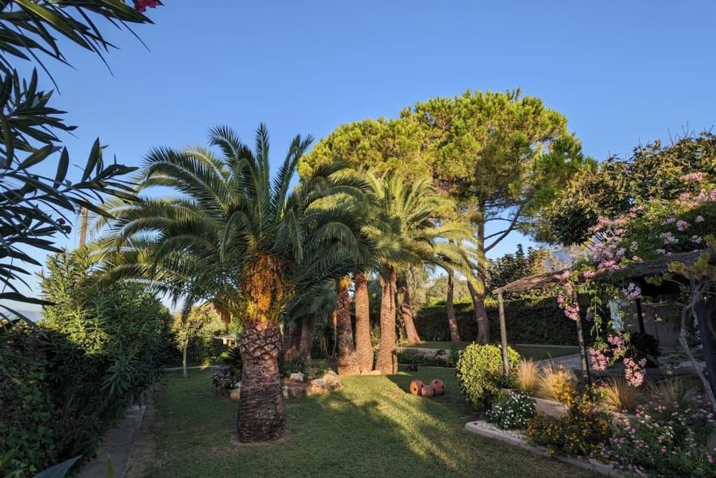Villa Casita De La Higuera à Jávea Extérieur photo